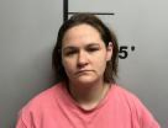 Mugshot of ROBIN GERLICK