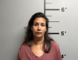 Mugshot of TAWANA SEREE BRADFORD