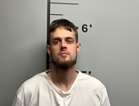 Mugshot of THOMAS J JR BRIDGEMAN