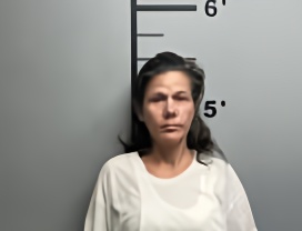 Mugshot of AMBER MEDEL