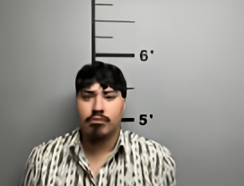Mugshot of JUNIOR ALEXANDER FLORES