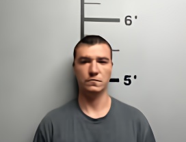 Mugshot of LEVI SHANE VANOVER