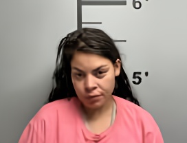 Mugshot of ZAIN SAMIH ALSEIN