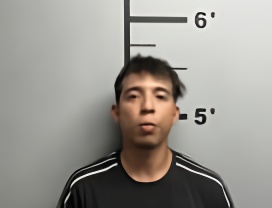 Mugshot of LUIS PLANCHARDT-QUINTERO