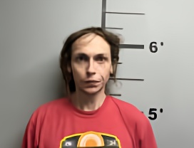 Mugshot of DONOVAN YOUREE