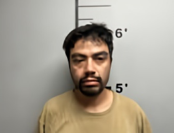 Mugshot of ARGENIS GARCIA