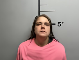 Mugshot of SARAH ELLEN HENDERSON