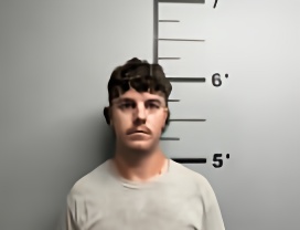 Mugshot of GRAYSON RILEY DELAPORTE