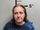 Mugshot of SHANA MCDOWELL