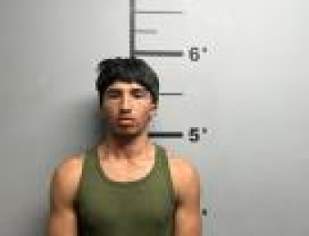 Mugshot of DELVIN ASUNCION VARGAS VARGAS