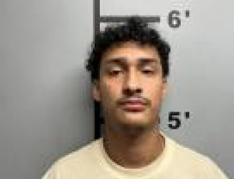 Mugshot of BRYAN NEVAREZ