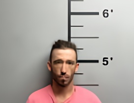 Mugshot of WAYNE EVAN WILLIAMS