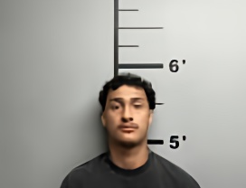 Mugshot of BRYAN NEVAREZ