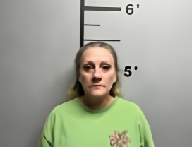 Mugshot of TAMARA L UNDERNEHR