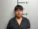 Mugshot of DARWIN ESTUARDO CHO ICH