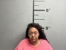 Mugshot of LISA ANN SEYLER