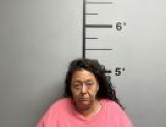 Mugshot of LISA ANN SEYLER