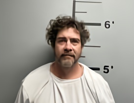 Mugshot of BILLY JO JOHNSON