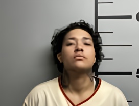 Mugshot of MONIQUE MARYA HAMILTON