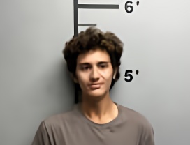 Mugshot of CLEMENTE DIAZ