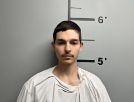 Mugshot of CADEN MATTHEW BRANDON