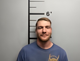 Mugshot of WESLEY ANDREW PARHAM