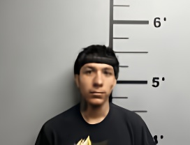Mugshot of MANUEL GARCIA