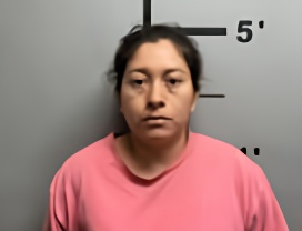 Mugshot of LEIDY SOLORZANO
