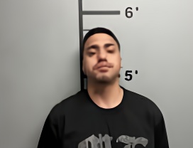 Mugshot of DALTON ZAY CALCOTT