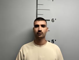 Mugshot of OMER COHEN