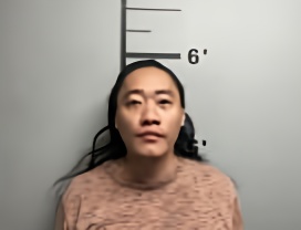 Mugshot of YENG CHONG LOR