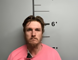Mugshot of HUDSON LEWIS- NOEL WILMOTH