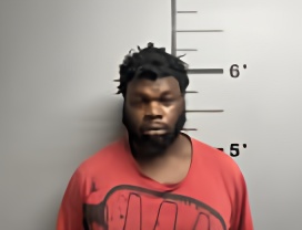 Mugshot of LADAWN TERRANOVA MARTIN