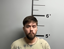 Mugshot of DANIEL JAMES LAIRD