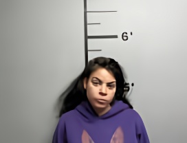 Mugshot of ZAIN SAMIH ALSEIN