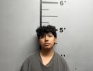 Mugshot of ANALISA ROSE BISKE