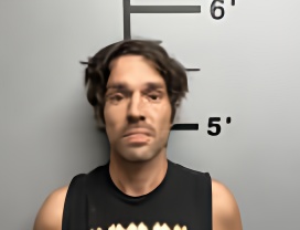 Mugshot of SEAN DAVID TIPLING