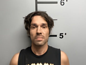 Mugshot of SEAN DAVID TIPLING