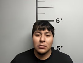 Mugshot of ERICK VIZUET-ACEVEDO