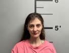 Mugshot of LISA MARIE EVANS