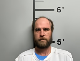 Mugshot of WESLEY DON JR WILLIAMSON