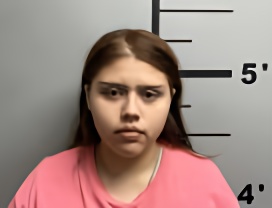 Mugshot of VICTORIA BRICENO
