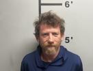 Mugshot of LYLE DAVID WATKINS
