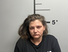 Mugshot of HANNAH ROSE WARD