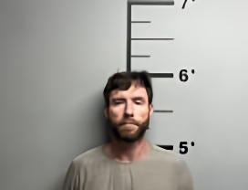 Mugshot of MICHAEL SANDER ASSING