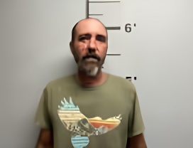 Mugshot of RICKY LEE JR RAINES