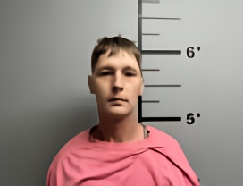 Mugshot of CODY ALLEN MEADOWS