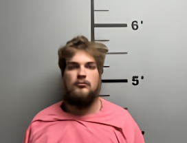 Mugshot of WILLIAM EDWARD ONEAL