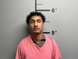 Mugshot of BRYAN NEVAREZ