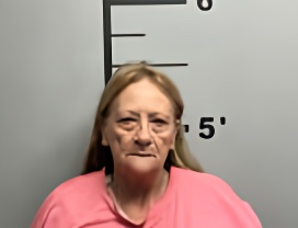 Mugshot of JOYCE RENEE WELLS